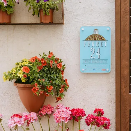 Holiday home Sweet Hospitality - L Ferret24